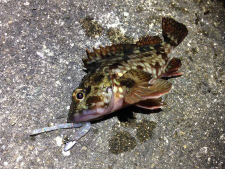 雨が降る前に一振り。