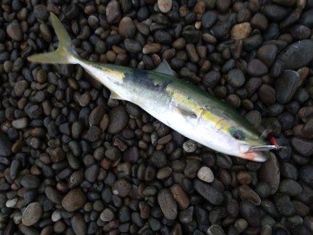 荒波・強風の中での勝利！