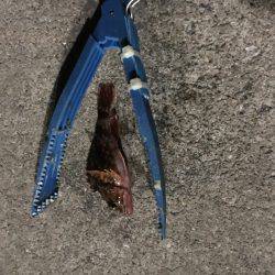 やっぱり爆風だー