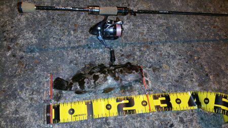 新春タケノコ掘り❤