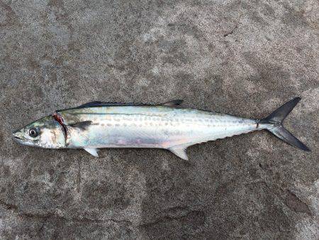 リベンジマッチ！！