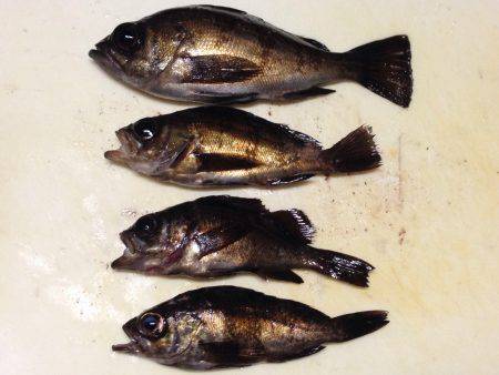 寒中ランガン！