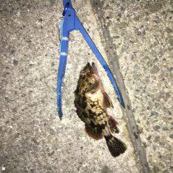 仕事帰りの残業だよ