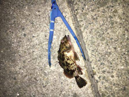 仕事帰りの残業だよ