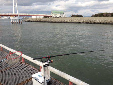 尼崎魚つり公園でハネ!