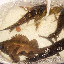 ソロソロ戻って来た？