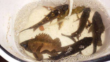 ソロソロ戻って来た？