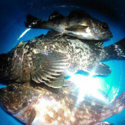 春一番、元気ですかぁ！の巻