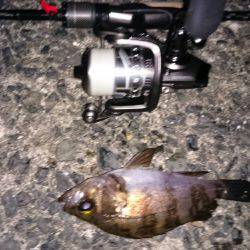 やっぱ寒い(>_<)