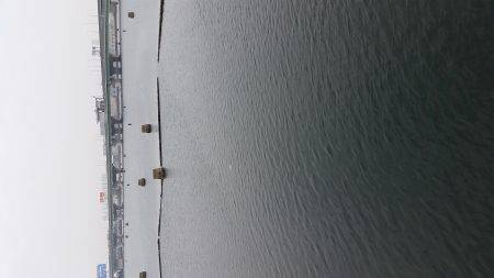 なんとか釣れた！