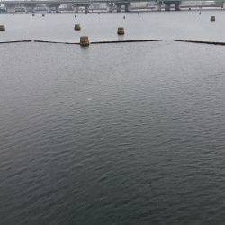 なんとか釣れた！