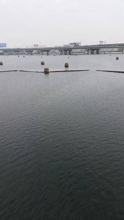 なんとか釣れた！