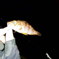 メバリング爆！