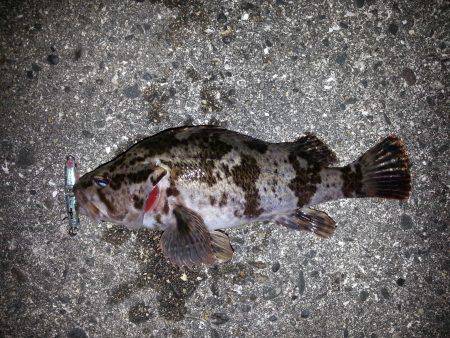 バチパターン開催か?