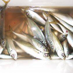 粘ってよかった！