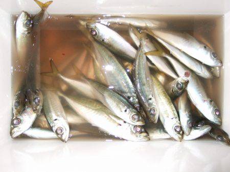 粘ってよかった！