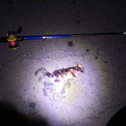 全くつらなーい。