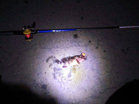 全くつらなーい。