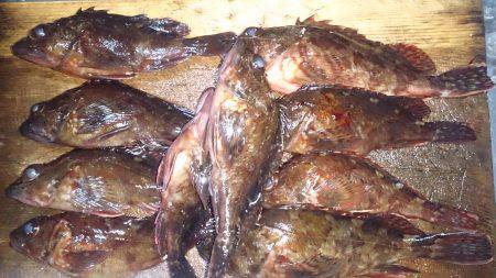 テトラで風避け