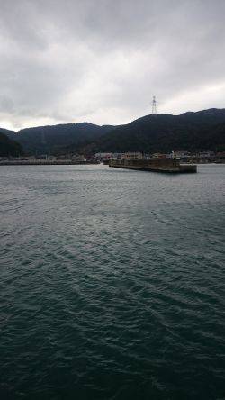 朝まづめにコウイカ エギング