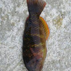 風も強く波も高かった。。。