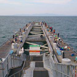 粘り粘って何とか1杯GET