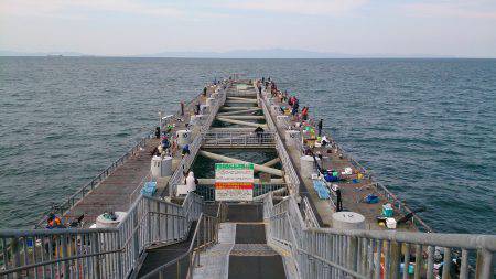 粘り粘って何とか1杯GET