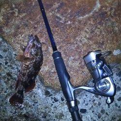 仕事帰りに軽く釣行