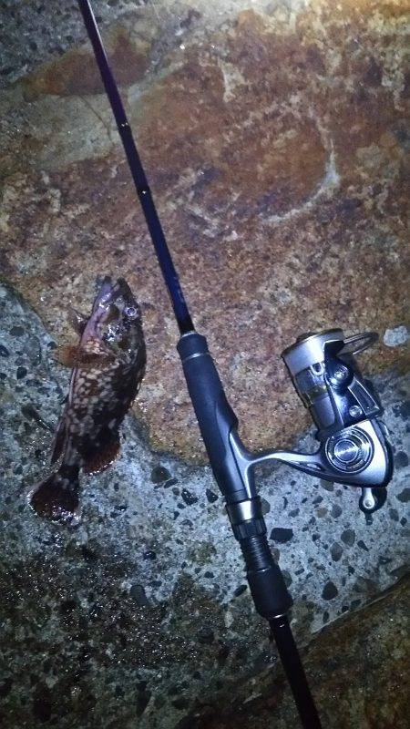 仕事帰りに軽く釣行