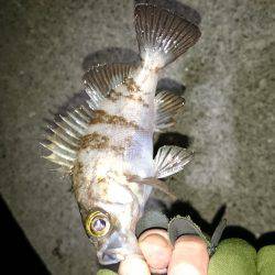 皆さんの合言葉？