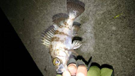 皆さんの合言葉？