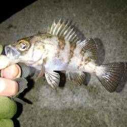 皆さんの合言葉？