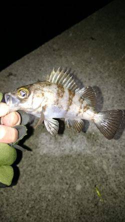 皆さんの合言葉？