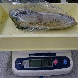 少し暖かくなったので水温もバッチシ