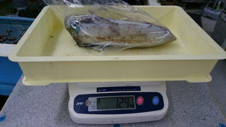 少し暖かくなったので水温もバッチシ