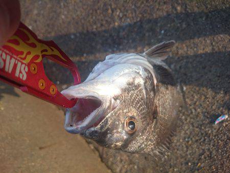 大雨の次の日は？