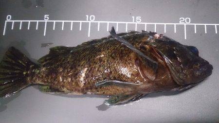 どんなに寒くても