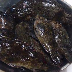 どこまで続くか