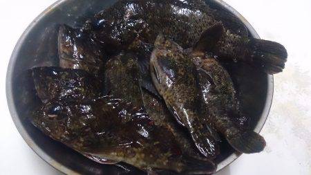 どこまで続くか