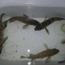 寒いけど、釣りしたい