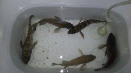 寒いけど、釣りしたい