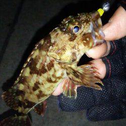 釣れたら楽しい!(笑)