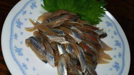 やっとマイワシ釣れました!