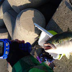 記録更新７０UP