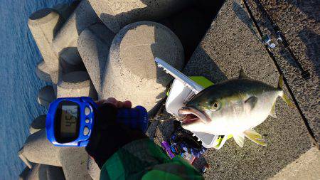 記録更新７０UP