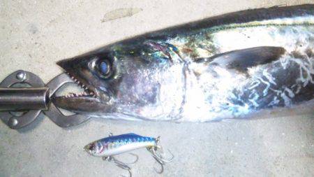 ショアジギング釣行