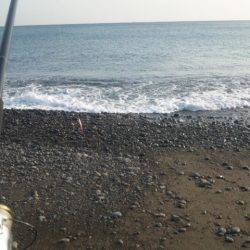 ショアジギング釣行