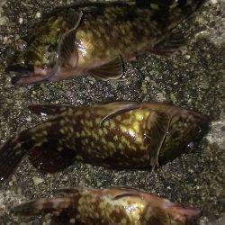 南甲子園浜オーブン戦