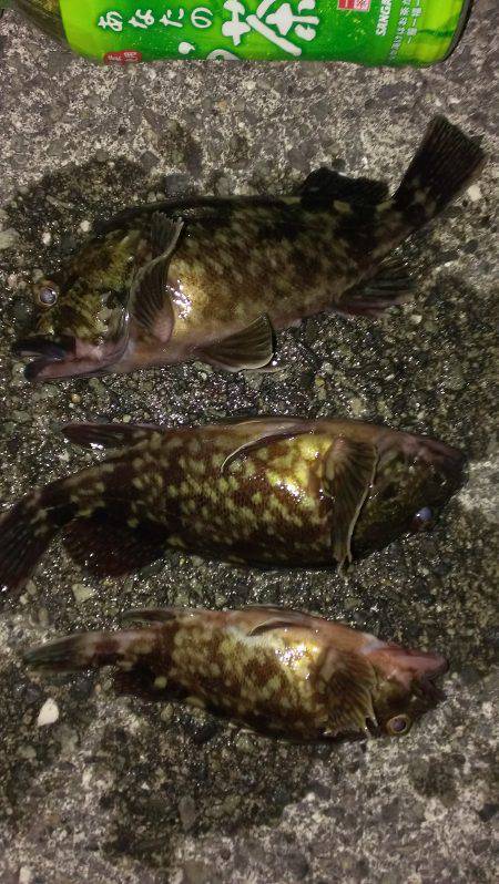 南甲子園浜オーブン戦