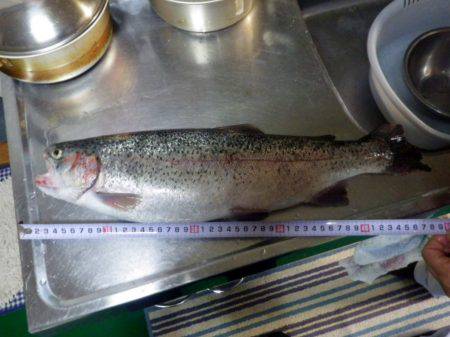 なんでオマエが？